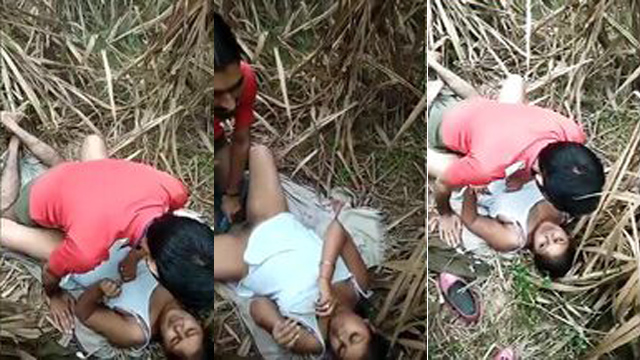 Desi Cute Girl Sex In Jungle Her Boyfriend Free Video